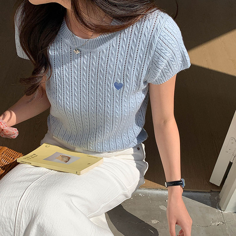 女性 Tシャツ ラウンドネック 半袖 ラブ刺繍パターン 中空 - Embroidery Design Love のレビューと価格